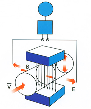 1636423802120759.jpg d13.jpg